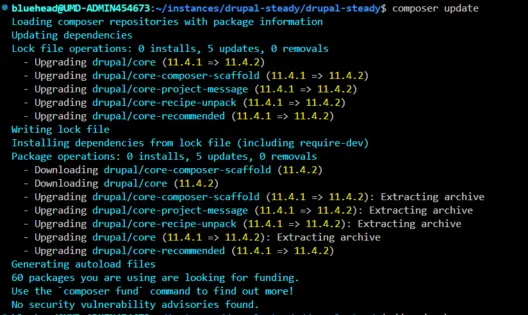 Upgrading Drupal Core to 11.4.2 and modules updates